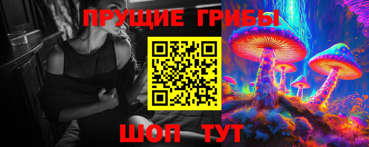 Псилоцибиновые грибы Psilocybine cubensis Симферополь
